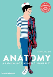 anatomy - big little noise