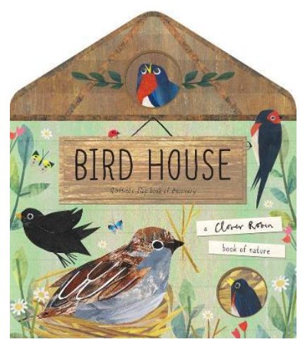 bird house - big little noise