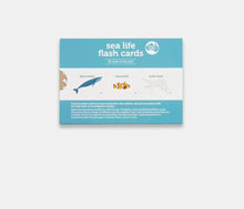 sea life flash cards - big little noise